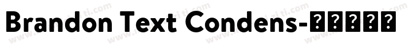 Brandon Text Condens字体转换